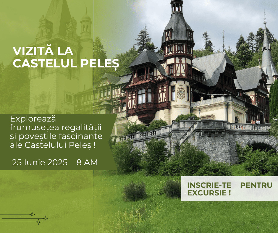Vizită la castel